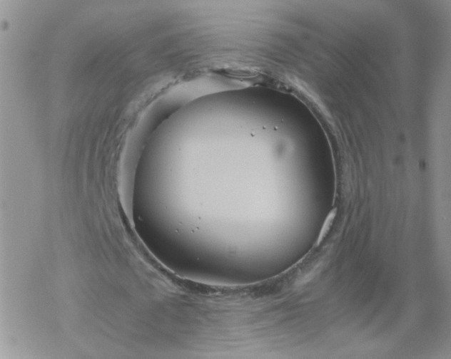 X0000069390673200605192214