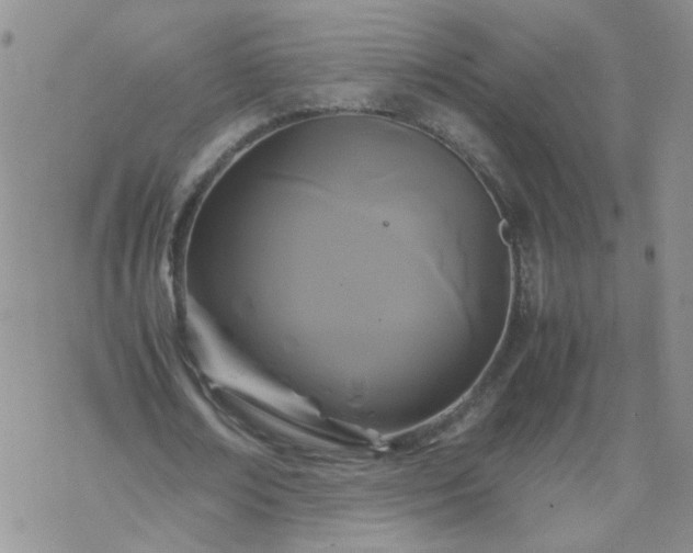 X0000069390674200605192214