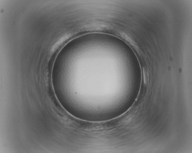 X0000069390675200605192214