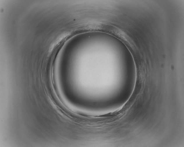 X0000069390677200605192214