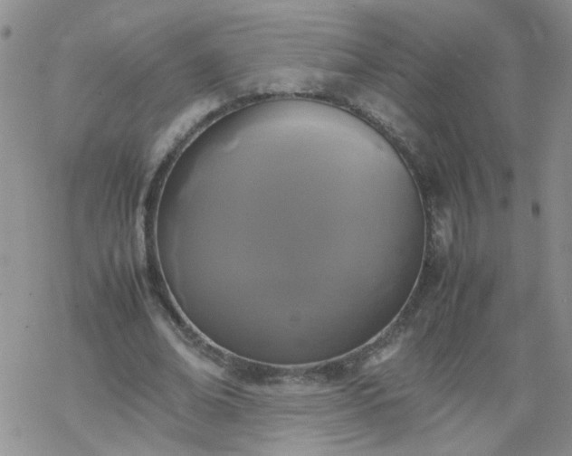 X0000069390678200605192214