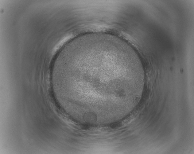 X0000069390679200605192214