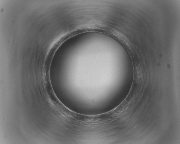 X0000069390680200605192214