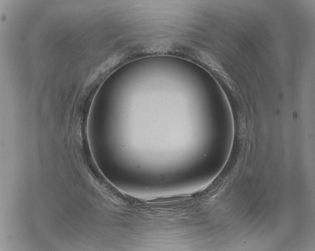 X0000069390681200605192214