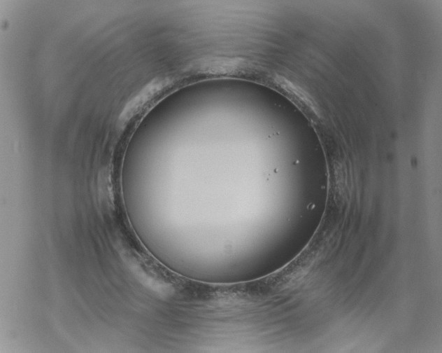 X0000069390682200605192214