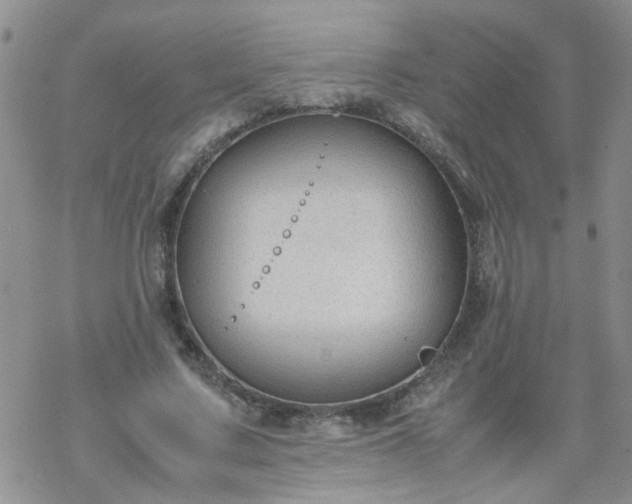 X0000069390683200605192214