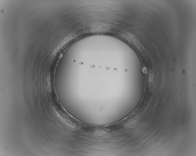 X0000069390684200605192214