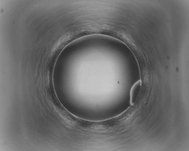 X0000069390685200605192214