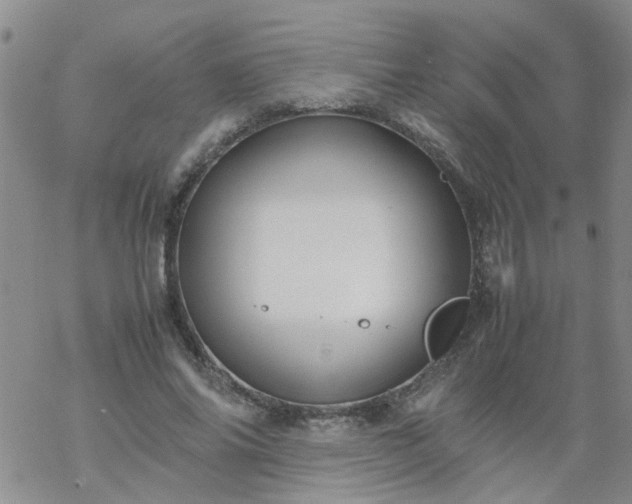 X0000069390686200605192214