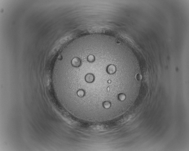 X0000069390687200605192214