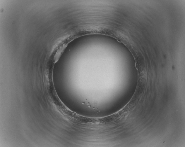 X0000069390688200605192214