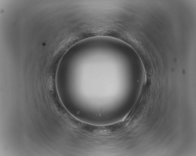 X0000069390689200605192214