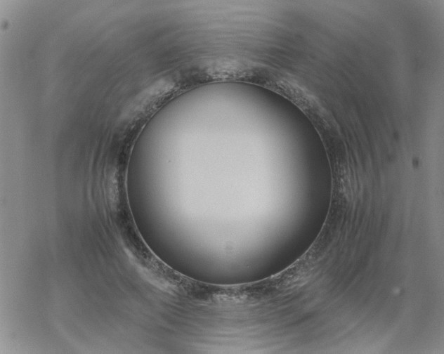 X0000069390690200605192214