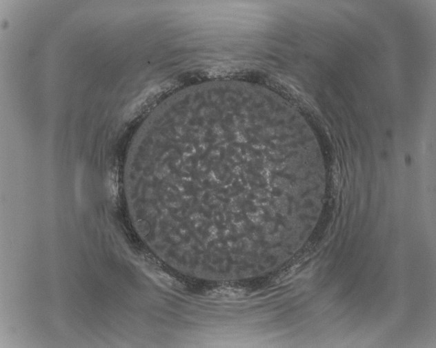 X0000069390691200605192214