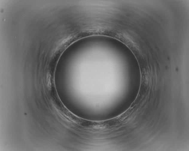 X0000069390692200605192214