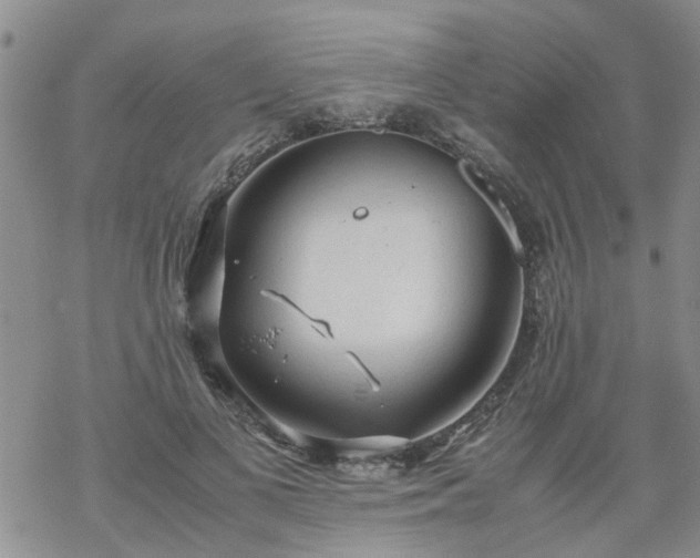 X0000069390693200605192214