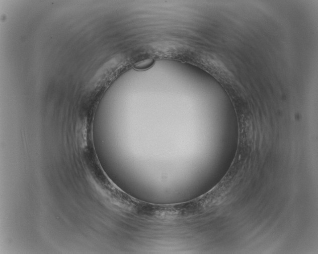 X0000069390694200605192214