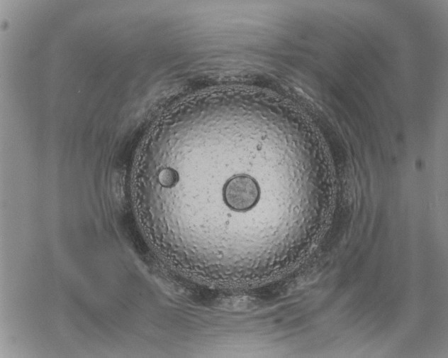 X0000069390695200605192214