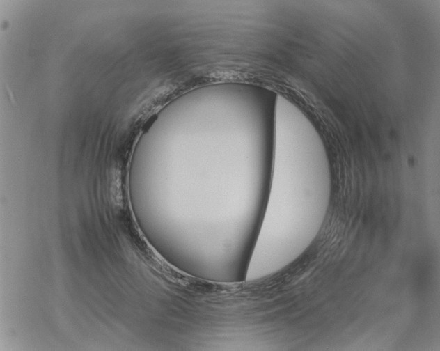 X0000069390696200605192214