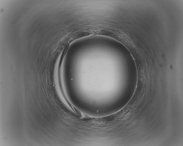 X0000069390697200605192214