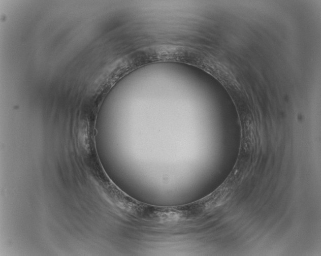 X0000069390698200605192214