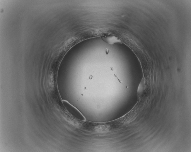 X0000069390700200605192214