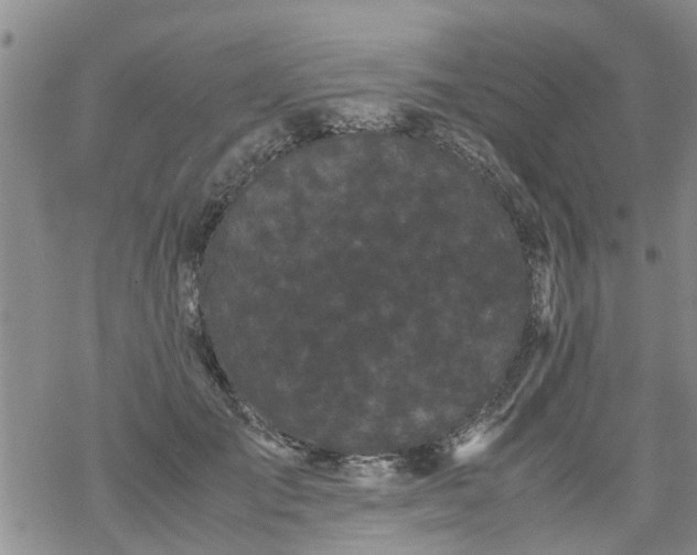 X0000069390701200605192214