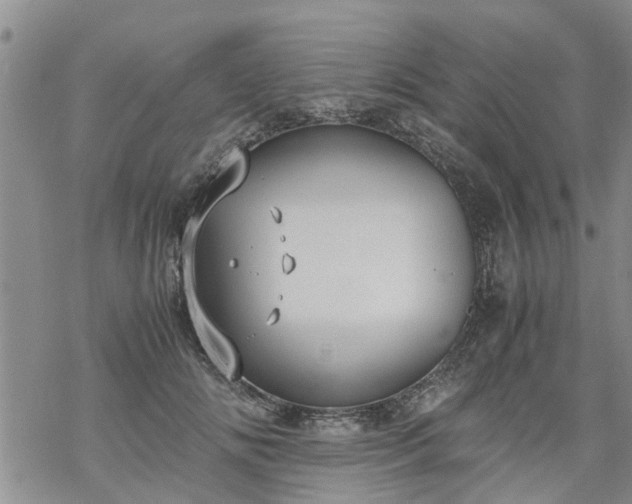 X0000069390702200605192214