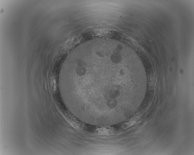 X0000069390703200605192214