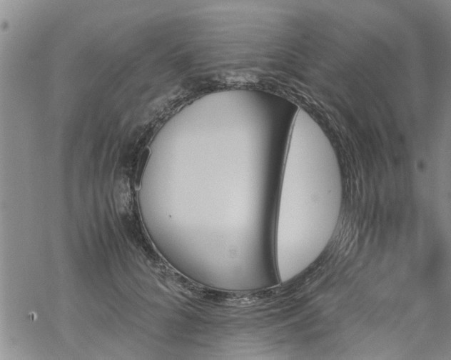 X0000069390704200605192214