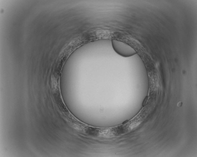 X0000069390705200605192214