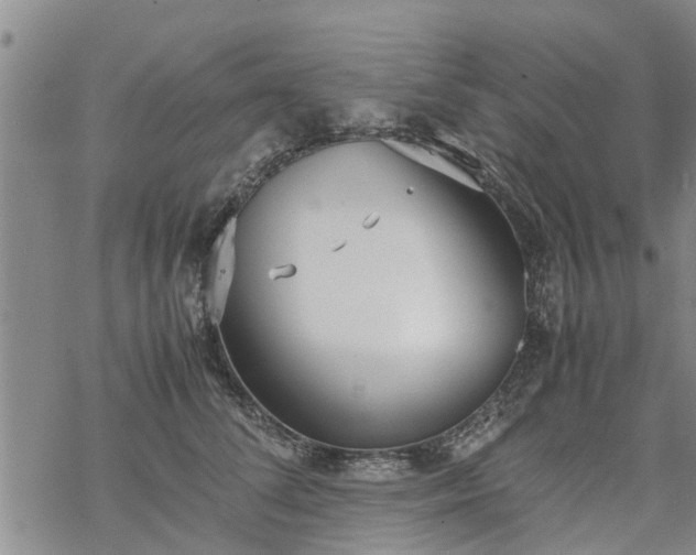 X0000069390708200605192214