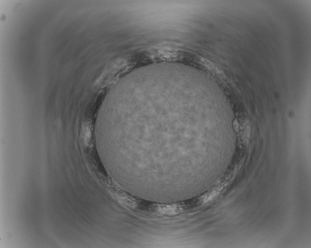 X0000069390709200605192214