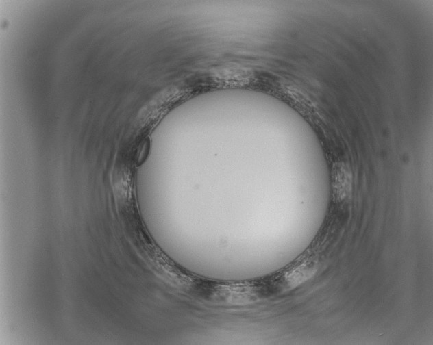 X0000069390713200605192214