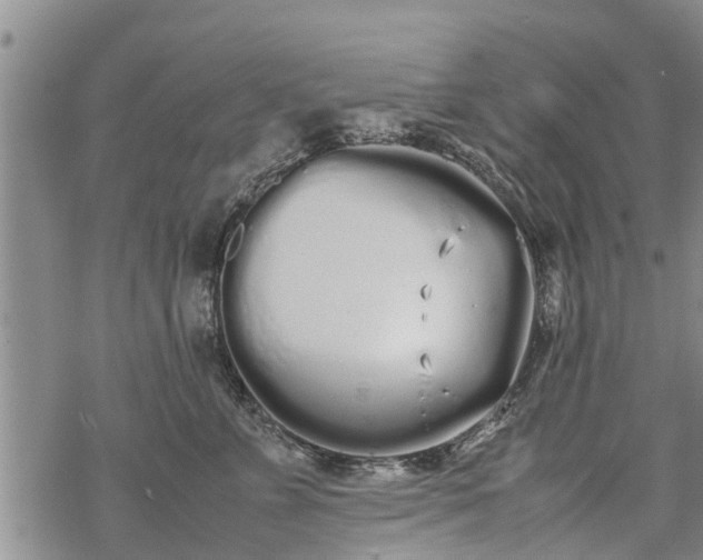 X0000069390715200605192214