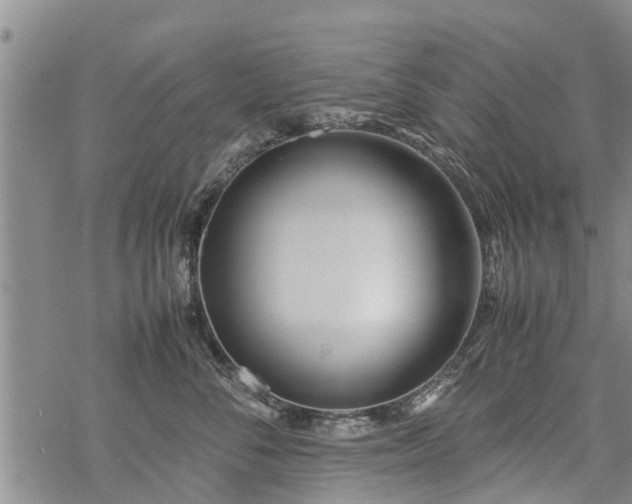 X0000069390716200605192214