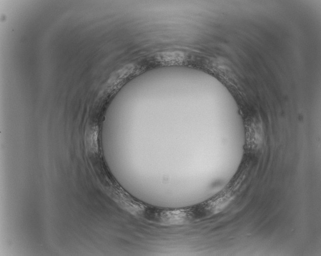 X0000069390717200605192214