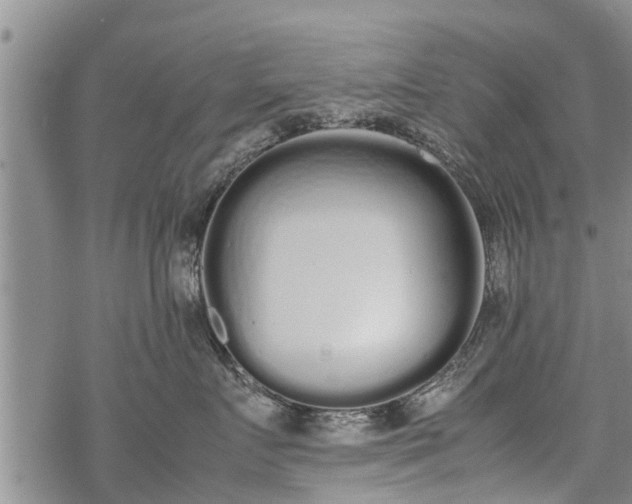 X0000069390719200605192214