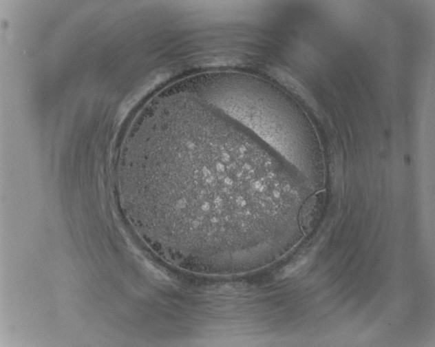 X0000069390721200605192213