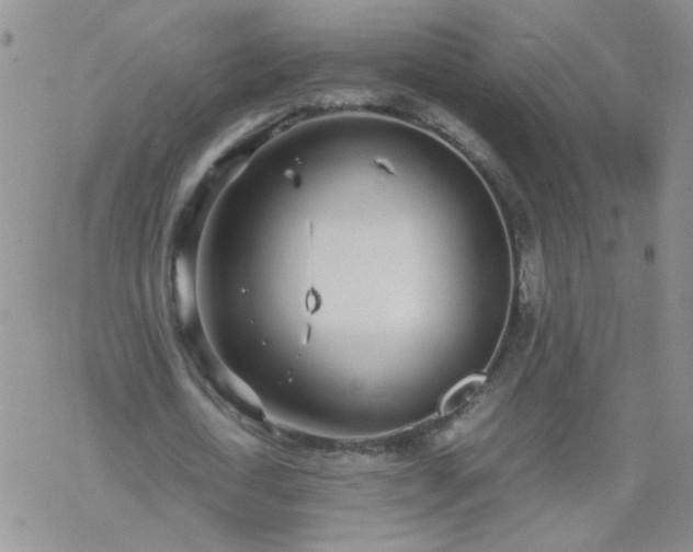 X0000069390722200605192213