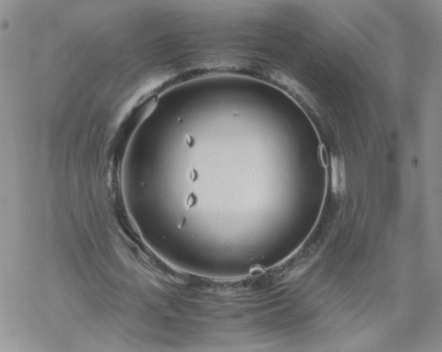 X0000069390723200605192213