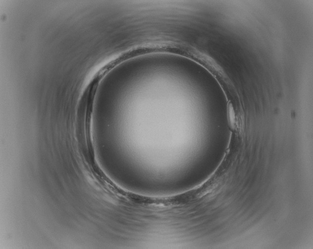 X0000069390724200605192213