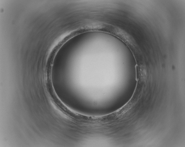 X0000069390726200605192213