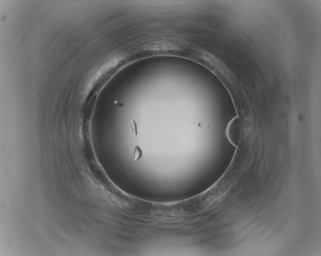 X0000069390727200605192213