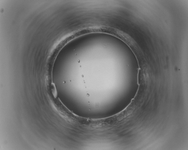 X0000069390728200605192213