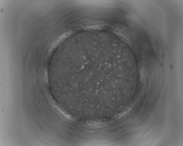 X0000069390729200605192213