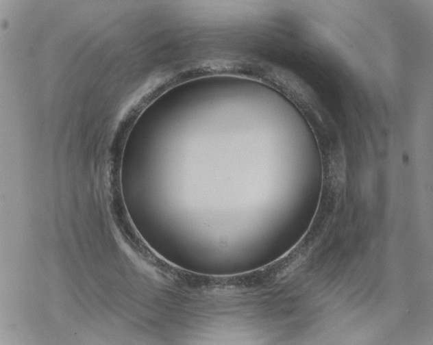 X0000069390730200605192213