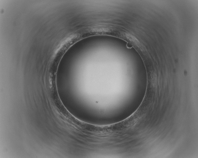 X0000069390731200605192213