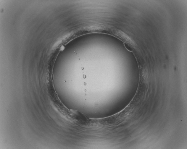 X0000069390732200605192213