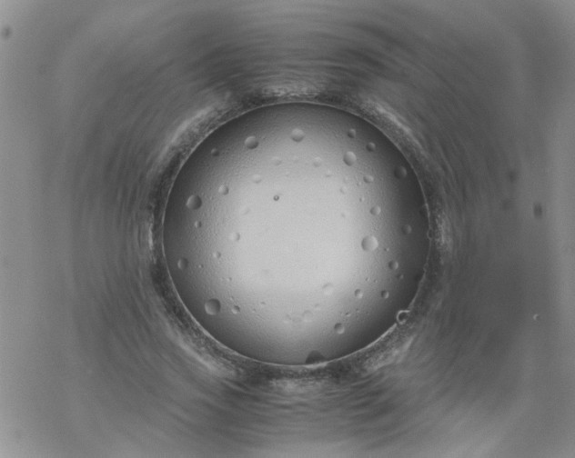 X0000069390733200605192213